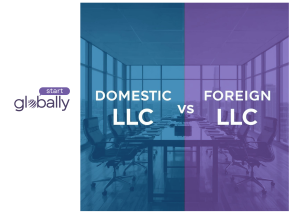 Domestic vs Foreign LLC comparison for Bangladeshi and international founders forming a US business
